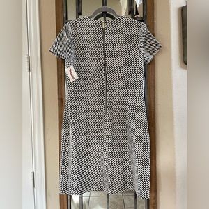 NWT Calvin Klein Black White Striped Size 8